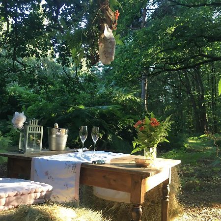 Domaine Du Vertbois La Haye-du-Theil Eksteriør bilde