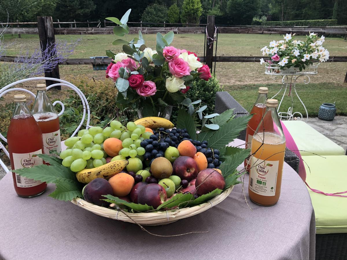 Domaine Du Vertbois La Haye-du-Theil Eksteriør bilde