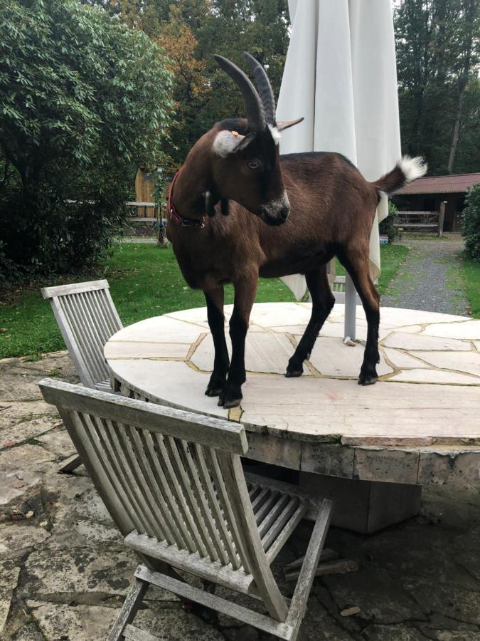 Domaine Du Vertbois La Haye-du-Theil Eksteriør bilde